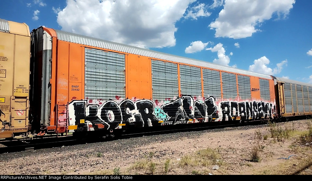 BNSF 28492 TTGX 694731 Con Grafiti 